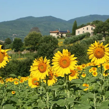 Farm stay Le Ceregne Bio *